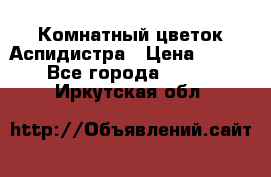 Комнатный цветок Аспидистра › Цена ­ 150 - Все города  »    . Иркутская обл.